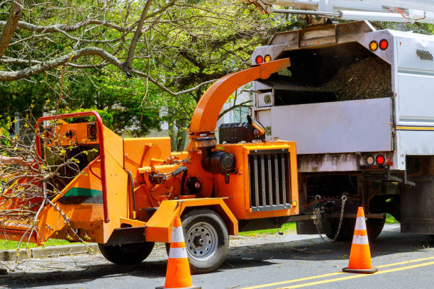 Best Leaf Removal  in Mobile, AL