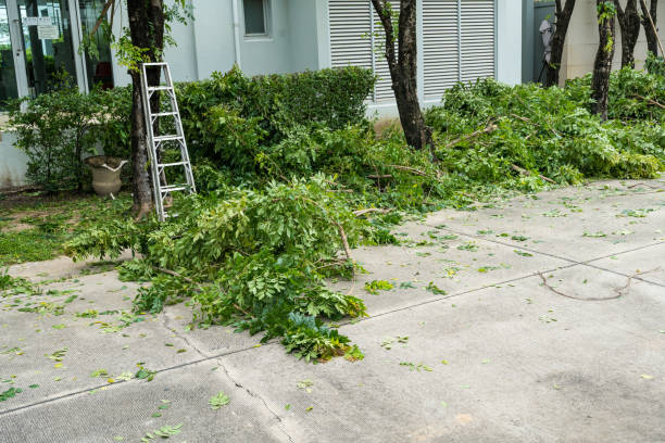 Best Hazardous Tree Removal  in Mobile, AL